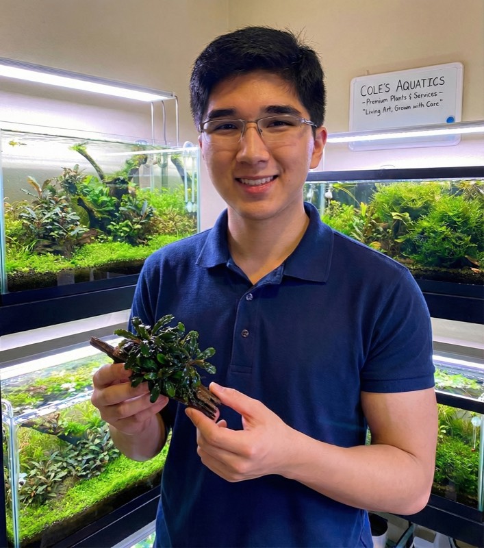 Cole - Founder of Cole's Aquatics